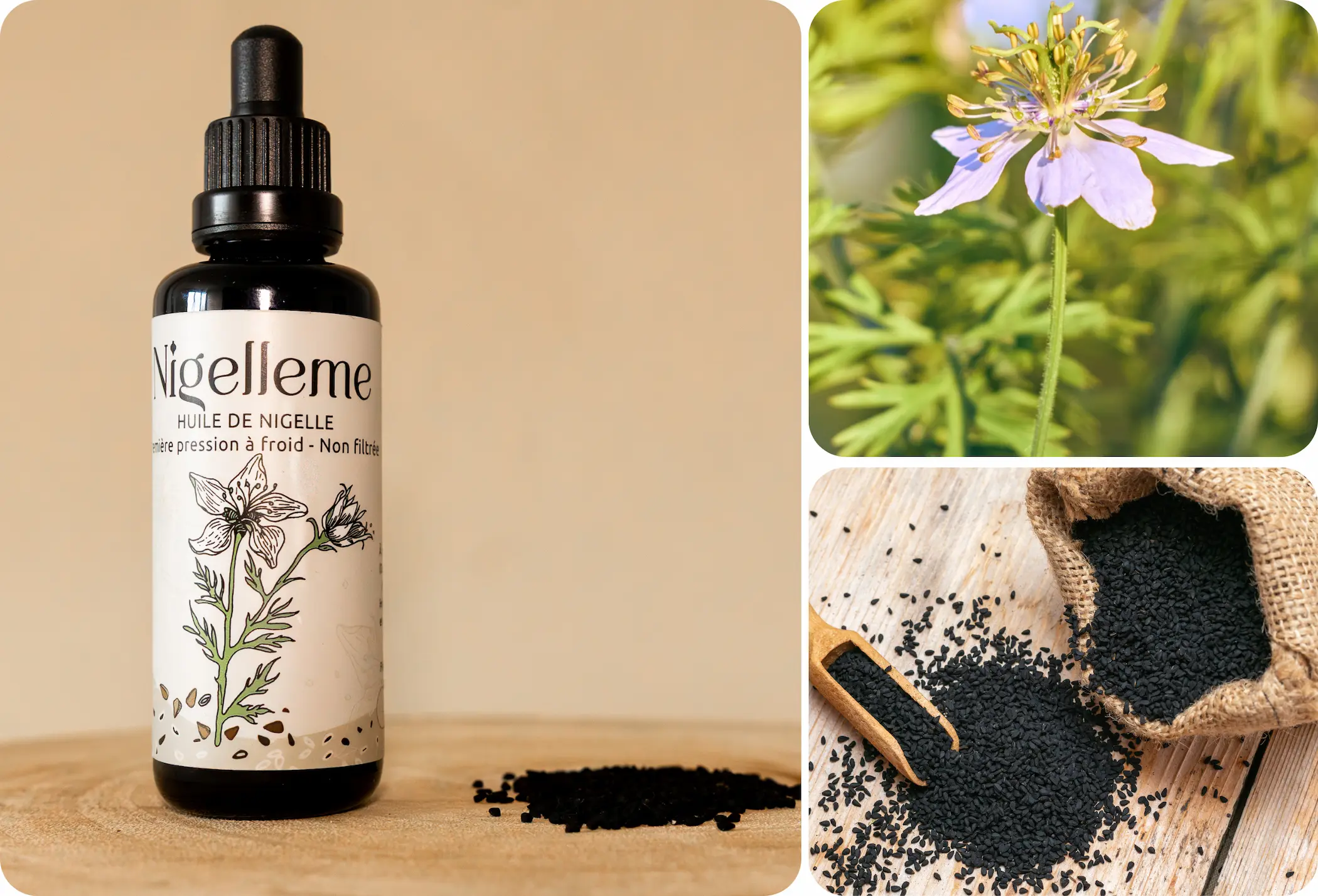 Fleur et graines de nigelle et bouteille de nigelle
